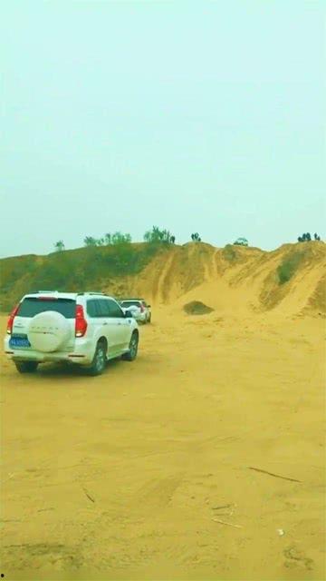 在线爬爬爬国产,在线爬爬爬的崛起与影响