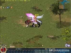 国产癡女骑乘在线,揭秘网络迷情背后的故事