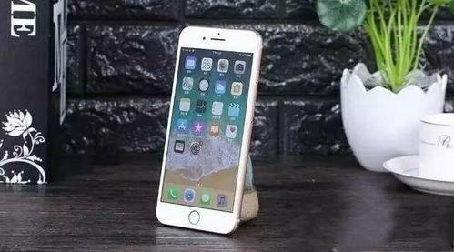 手机在线无码不卡国产