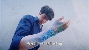 国产男美人鱼在线观看,美人鱼传奇，在线观看，美轮美奂