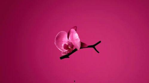 2022色国产色在线