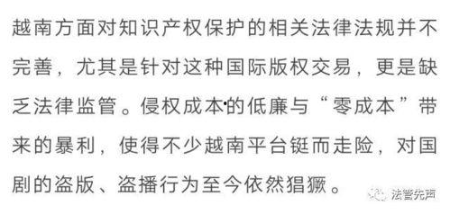 假如国产剧说真话在线观看